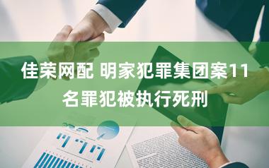 佳荣网配 明家犯罪集团案11名罪犯被执行死刑