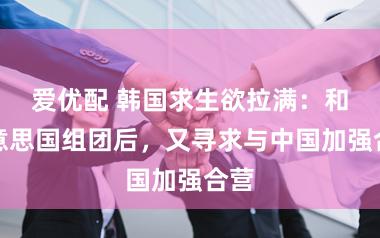 爱优配 韩国求生欲拉满：和好意思国组团后，又寻求与中国加强合营