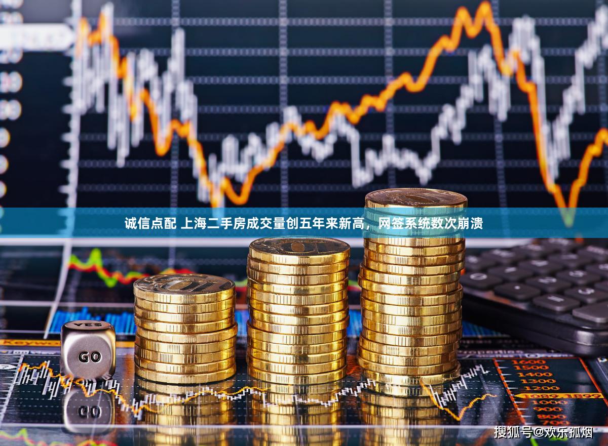 诚信点配 上海二手房成交量创五年来新高，网签系统数次崩溃