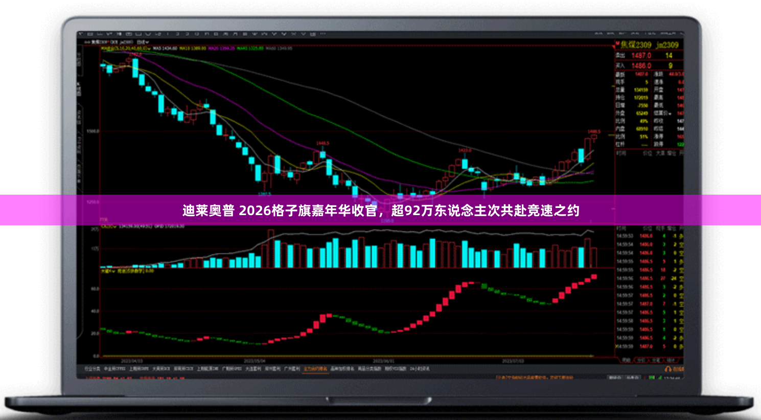 迪莱奥普 2026格子旗嘉年华收官，超92万东说念主次共赴竞速之约