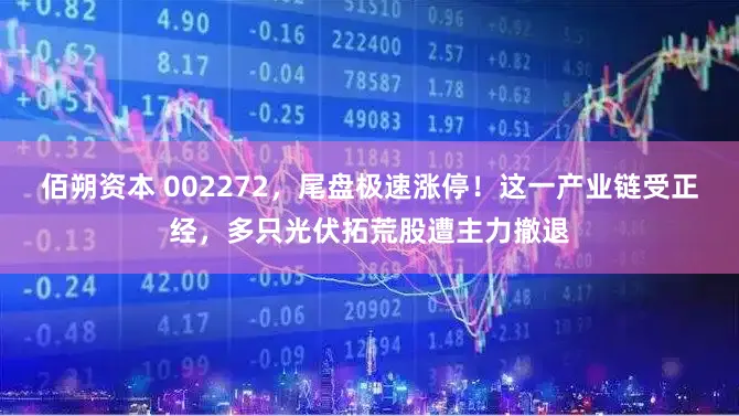 佰朔资本 002272,尾盘极速涨停!这一产业链受正经,多只光伏拓荒股遭主力撤退