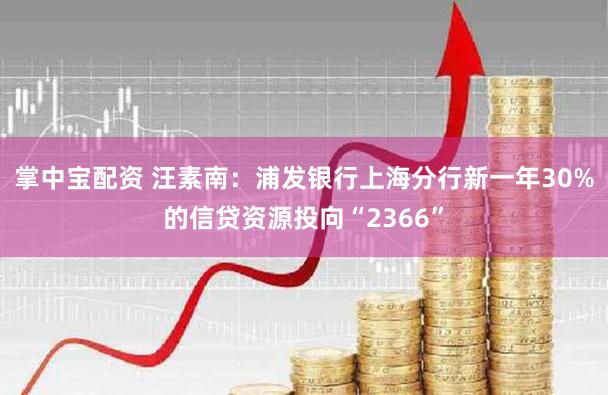 掌中宝配资 汪素南:浦发银行上海分行新一年30%的信贷资源投向“2366”