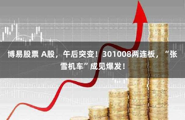博易股票 A股,午后突变!301008两连板,“张雪机车”成见爆发!