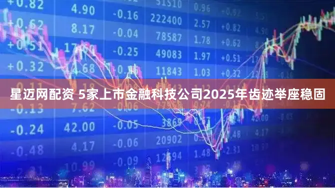 星迈网配资 5家上市金融科技公司2025年齿迹举座稳固