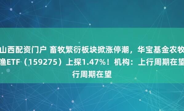 山西配资门户 畜牧繁衍板块掀涨停潮,华宝基金农牧渔ETF(159275)上探1.47%!机构:上行周期在望