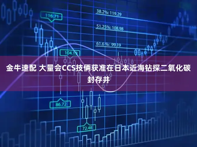 金牛速配 大量会CCS技俩获准在日本近海钻探二氧化碳封存井